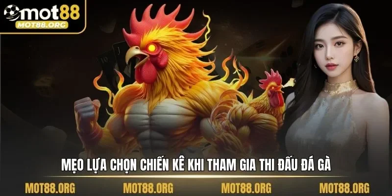 đá gà cựa dao